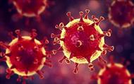 پاورپوینت ویروس کرونا (منشاء، علائم، راه‌ های پیشگیری و درمان)